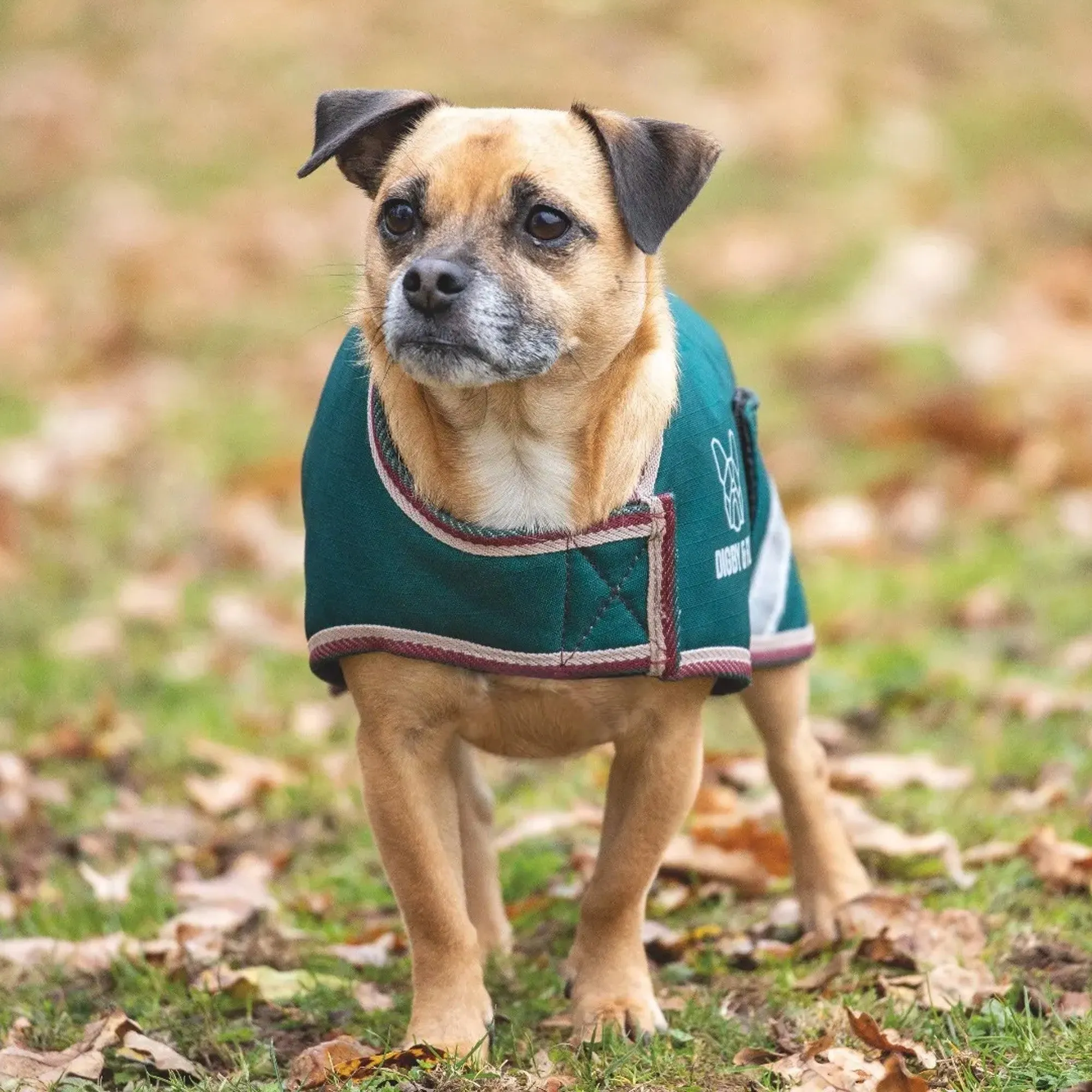 Digby & Fox Waterproof Dog Coat