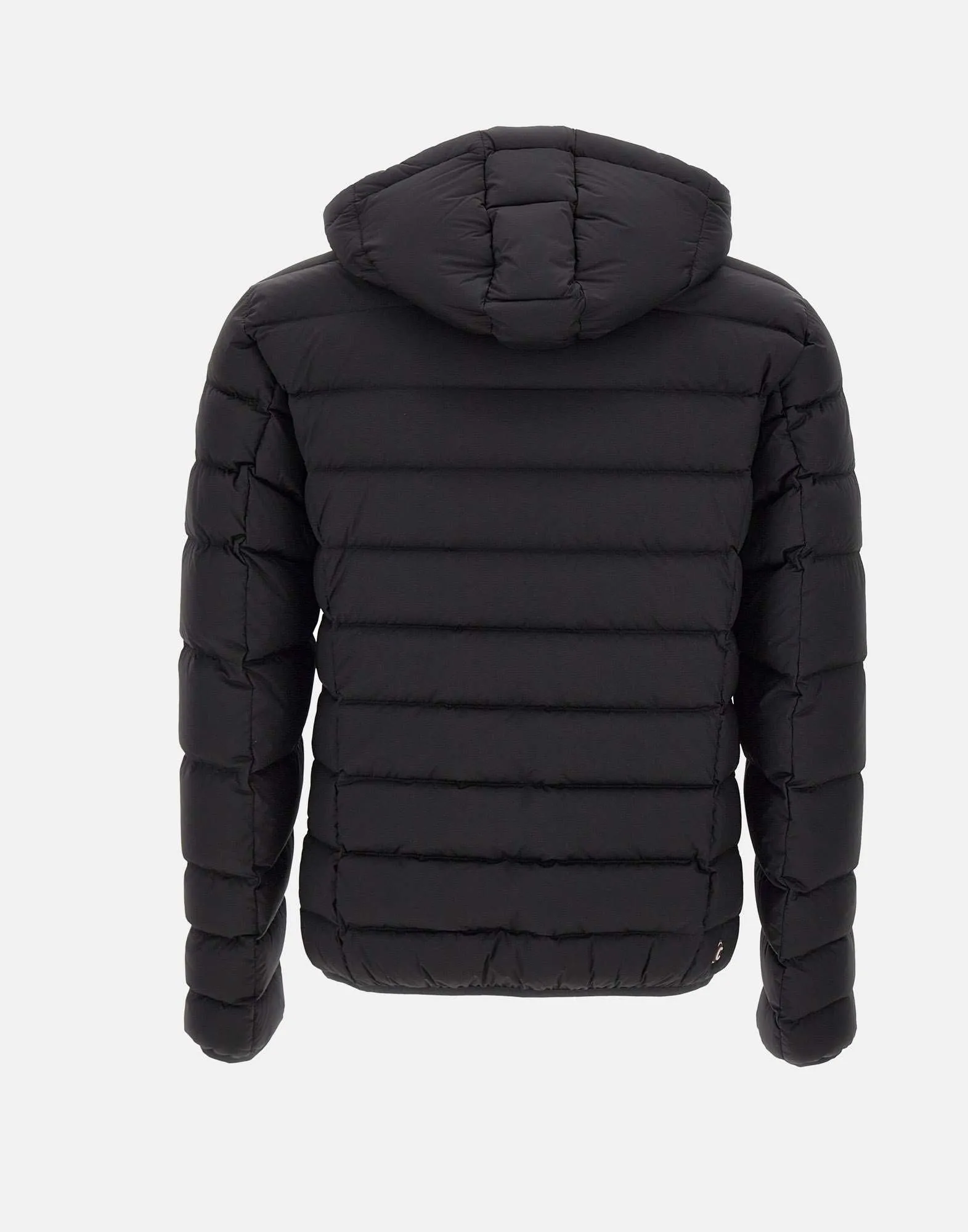 Expert Black Down Jacket for Men