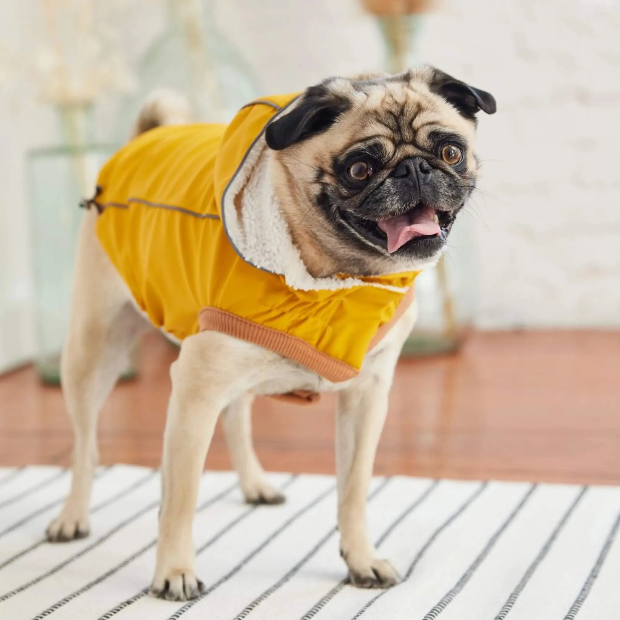 Insulated Dog Raincoat - Yellow