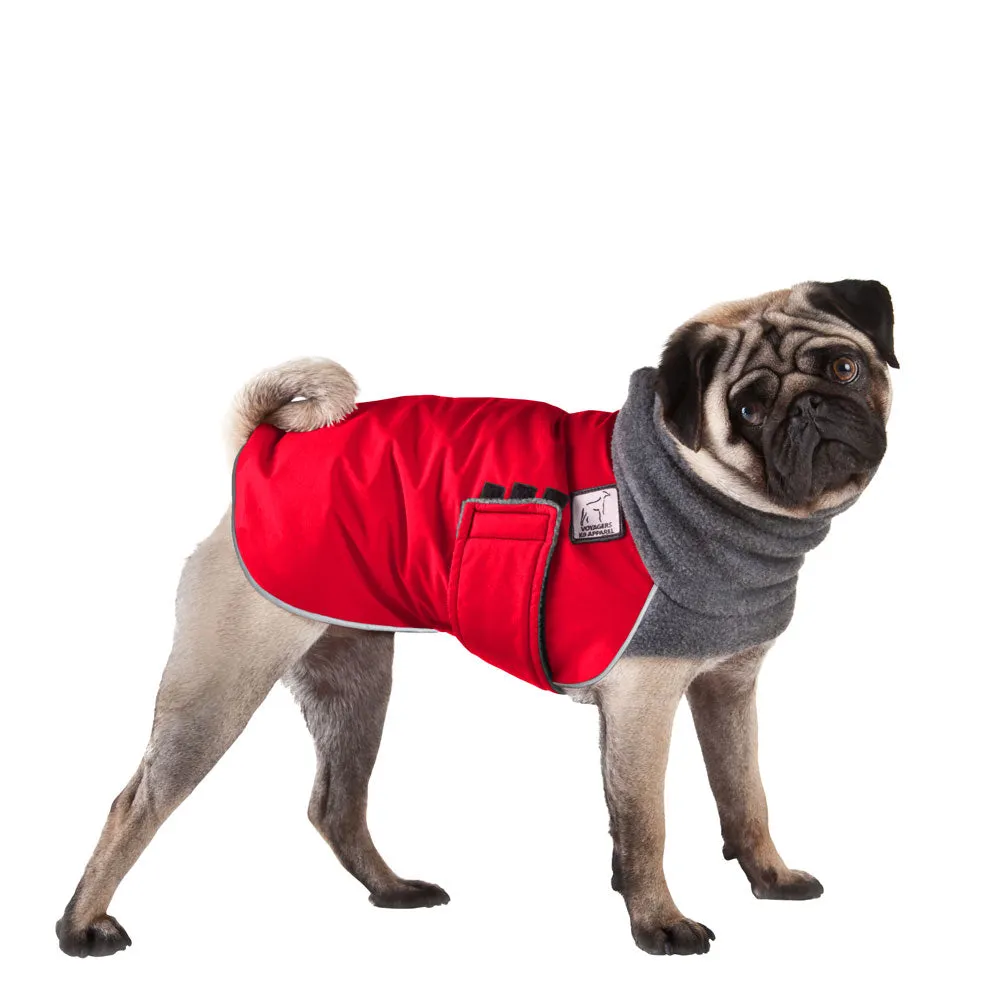 ReCoat ♻️ Pug Winter Coat with Harness Opening