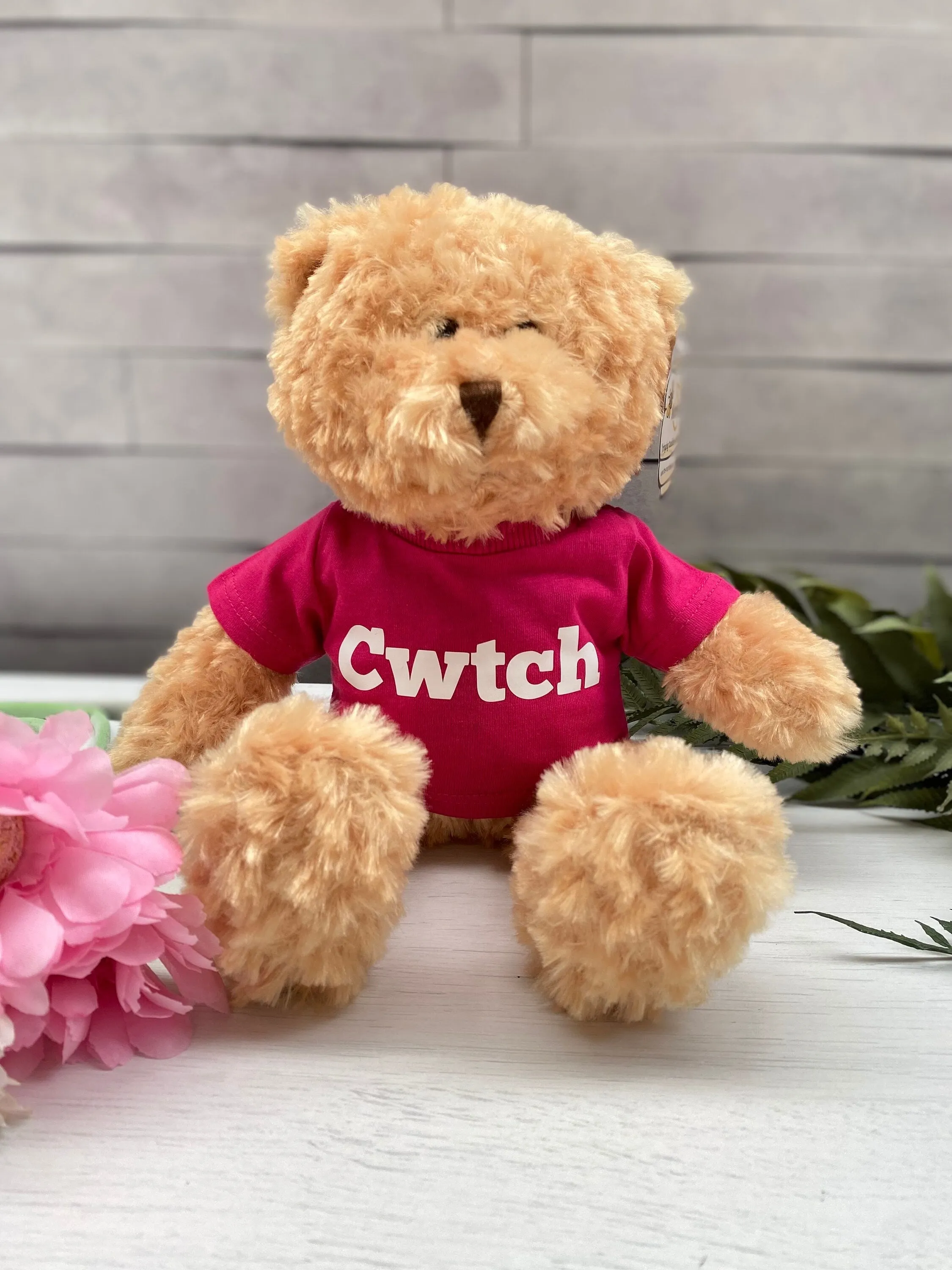 Teddy Bear (30cm) With Personalised T-Shirt - Add text or an image to the front or back